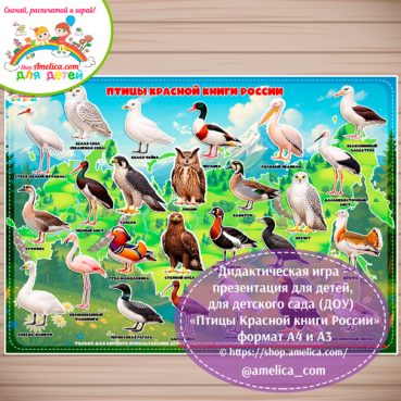 Дидактическая игра - презентация для детей, для детского сада (ДОУ) "Птицы Красной книги России" формат А4 и А3