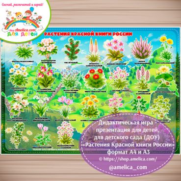 Дидактическая игра - презентация для детей, для детского сада (ДОУ) "Растения Красной книги России" формат А4 и А3