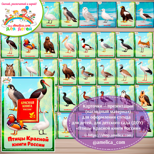 Карточки — презентации (наглядный материал) для оформления стенда для детей, для детского сада (ДОУ) Птицы Красной книги России".