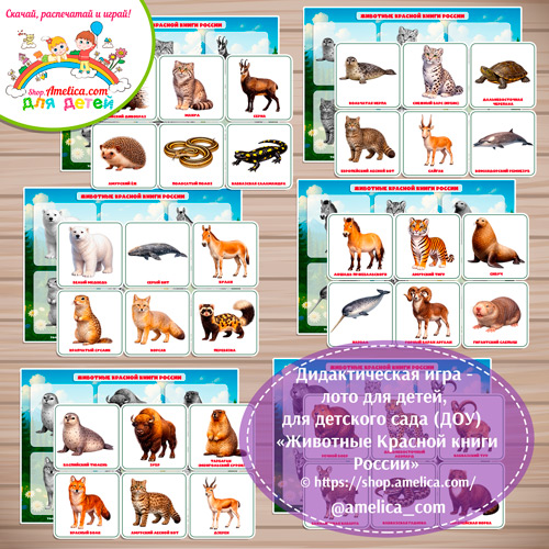 Дидактическая игра - лото для детей, для детского сада (ДОУ) "Животные Красной книги России"