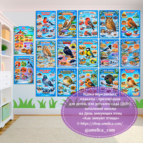 Папка-передвижка, плакаты — презентации (наглядный материал) на День зимующих птиц «Как зимуют птицы» Папка-передвижка, плакаты — презентации (наглядный материал) на День зимующих птиц «Как зимуют птицы»