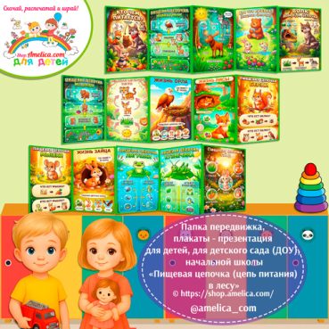 Папка-передвижка, плакаты - презентации (наглядный материал) «Пищевая цепочка (цепь питания) в лесу»