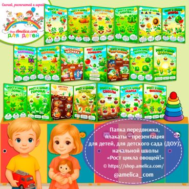 Папка-передвижка, плакаты - презентации (наглядный материал) «Цикл роста овощей» 2 вариант