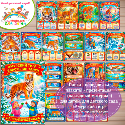 Папка-передвижка, плакаты - презентации (наглядный материал) «Амурский тигр» для детей.