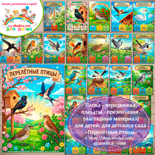 Папка-передвижка, плакаты - презентации (наглядный материал) «Перелётные птицы» для детей.