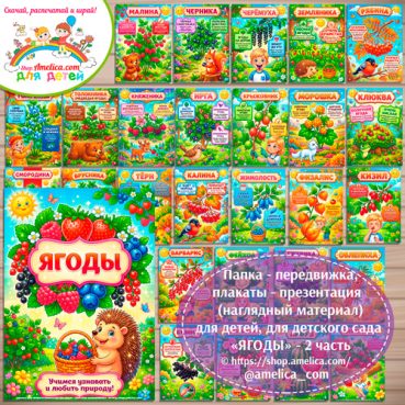 Папка-передвижка, плакаты - презентации (наглядный материал) «Ягоды» - 2 часть