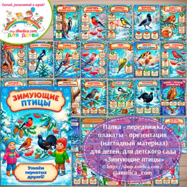 Папка-передвижка, плакаты - презентации (наглядный материал) «Зимующие птицы» для детей.