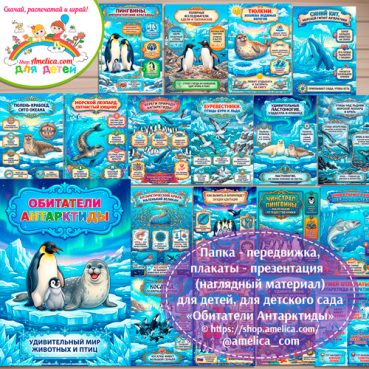 Папка-передвижка, плакаты - презентации (наглядный материал) «Обитатели Антарктиды: Животные и птицы» для детей.