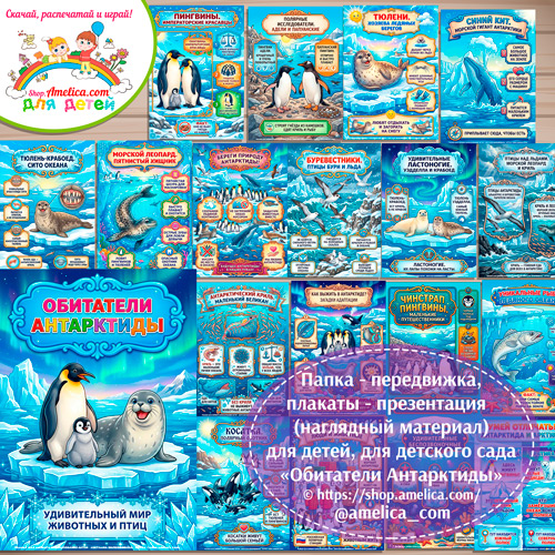 Папка-передвижка, плакаты - презентации (наглядный материал) «Обитатели Антарктиды: Животные и птицы» для детей.