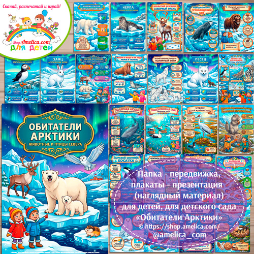 Папка-передвижка, плакаты - презентации (наглядный материал) «Обитатели Арктики: Животные и птицы Севера» для детей.