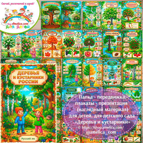 Папка-передвижка, плакаты - презентации (наглядный материал) «Деревья и кустарники России» для детей.