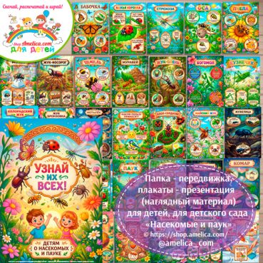 Папка-передвижка, плакаты - презентации (наглядный материал) «Насекомые и паук» для детей.