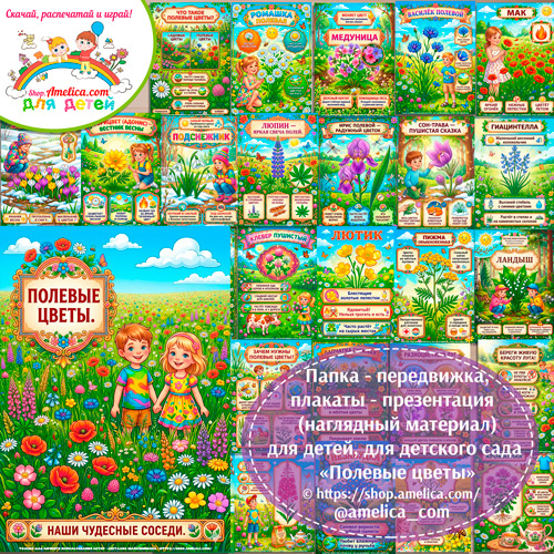 Папка-передвижка, плакаты - презентации (наглядный материал) «Полевые цветы» для детей.
