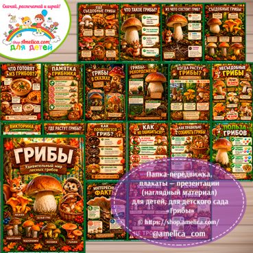 Папка-передвижка, плакаты - презентации (наглядный материал) «Грибы» - 2 вариант