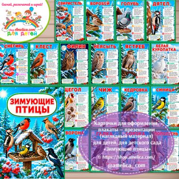 Папка-передвижка, плакаты - презентации (наглядный материал) «Зимующие птицы» - 2 вариант