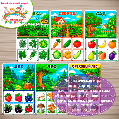 Дидактическая игра - лото (сортировка) для детей, для детского сада «Что где растет? Овощи, зелень, фрукты, ягоды, грибы, орехи»